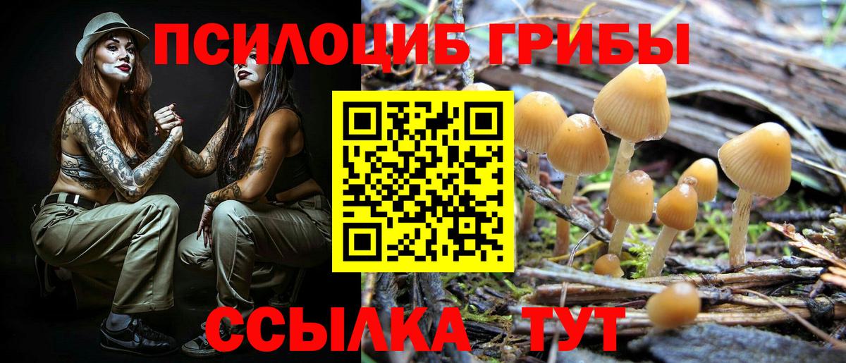 Галлюциногенные грибы прущие грибы Семёнов