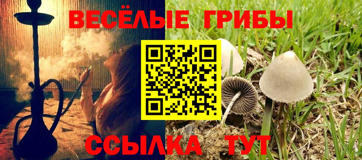 Псилоцибиновые грибы мицелий  Вход с VPN  Семёнов  Псилоцибиновые грибы ЛСД 